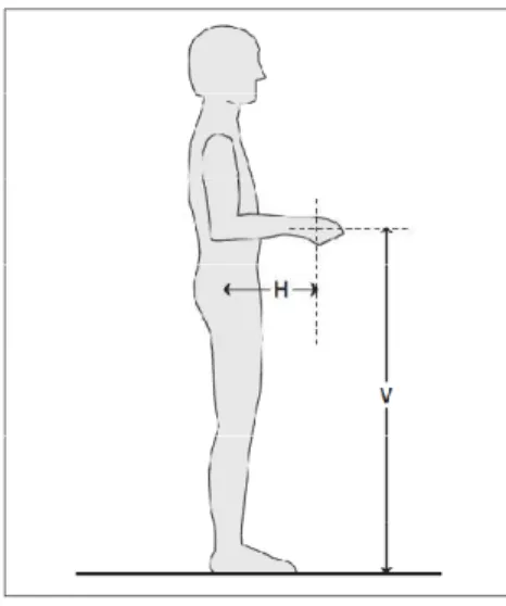 Figura 1.6 Distancia horizontal (H) y distancia vertical (V). H: Distancia entre el punto medio  de las manos al punto medio de los tobillos mientras se está en la posición de  levantamiento