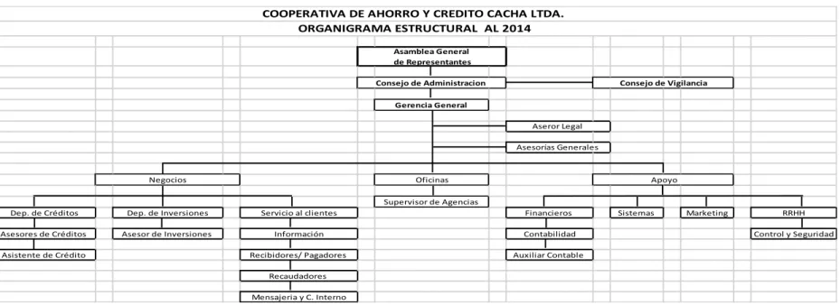 Gráfico 1: Estructura Orgánica Cacha Ltda. 