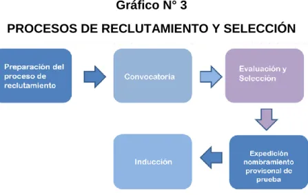 Gráfico N° 3 