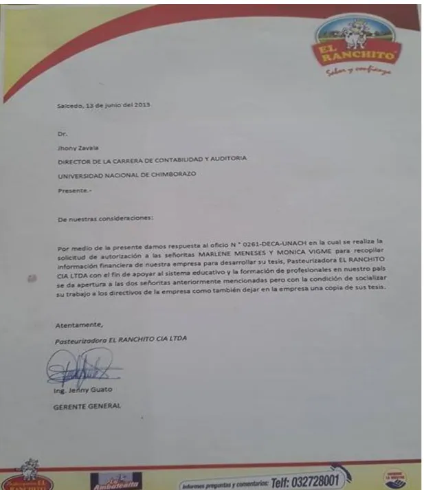 GRÁFICO N°  02 