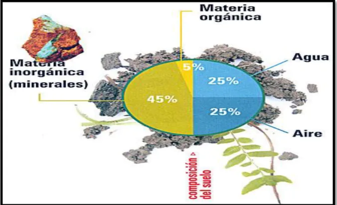 Figura 4: Componentes del suelo 