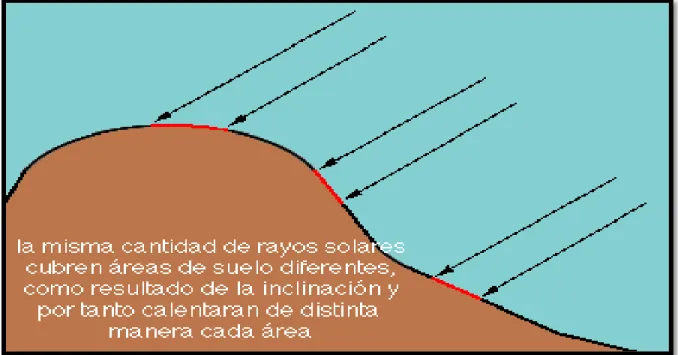Figura 10: El microclima en la formación del suelo. 