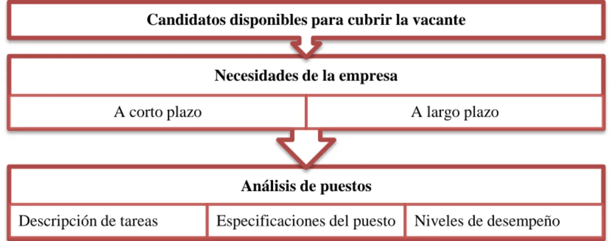 Gráfico N° 6: Elementos del proceso de selección 