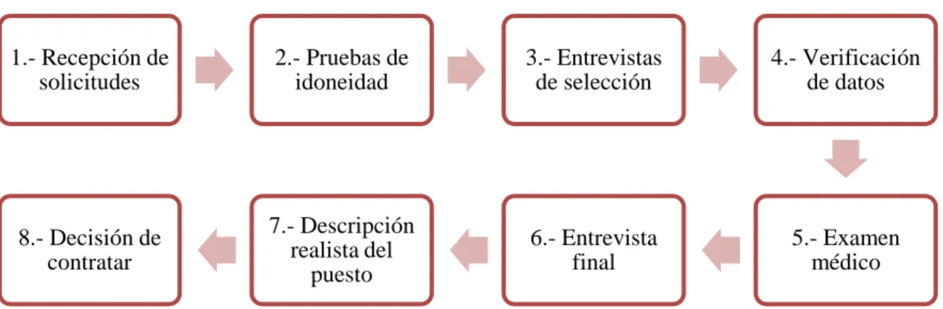 Gráfico N° 7: Pasos del proceso de selección 