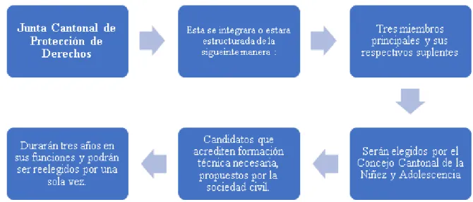 Gráfico N°. 2: Estructura Junta Cantonal 