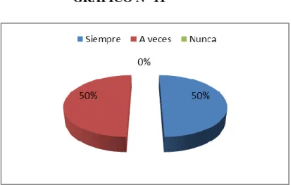 GRÁFICO N° 11 
