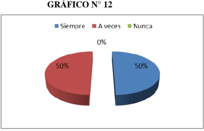 GRÁFICO N° 12 