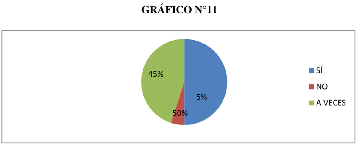 GRÁFICO N°11 