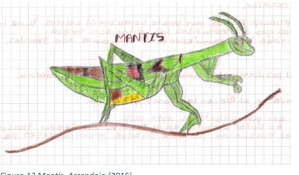 Figura 13 Mantis. Arrendajo (2015) 