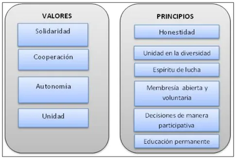 GRÁFICO N° 1: VALORES Y PRINCIPIOS DE LA ECONOMÍA POPULAR Y    SOLIDARIA 