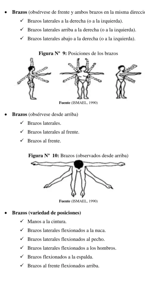 Figura Nº  9: Posiciones de los brazos 