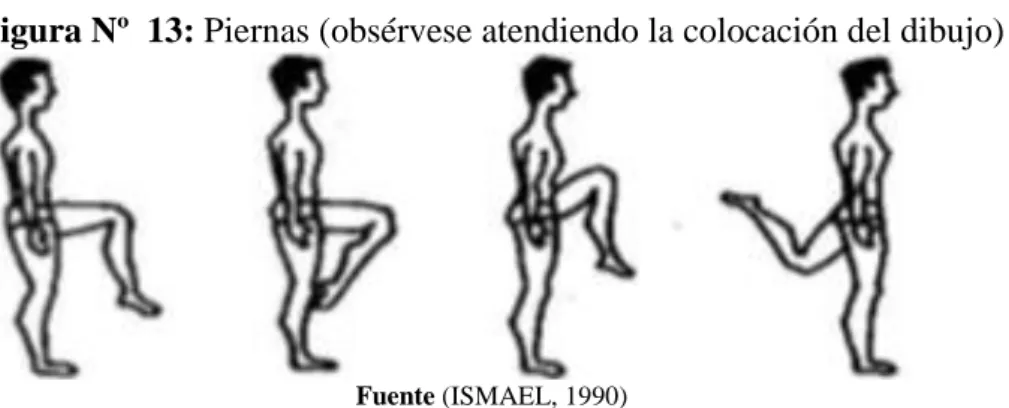 Figura Nº  13: Piernas (obsérvese atendiendo la colocación del dibujo) 