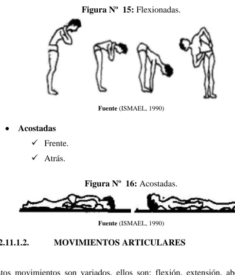 Figura Nº  15: Flexionadas.  Fuente (ISMAEL, 1990)    Acostadas     Frente.    Atrás