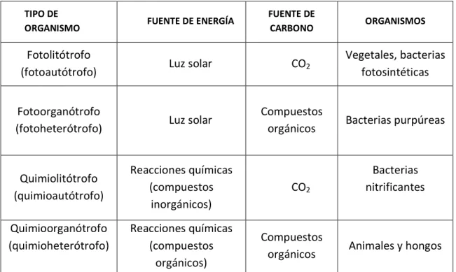 Tabla 3. Clasificación de Microorganismos de acuerdo a  la Fuente de Energía, y Carbono 