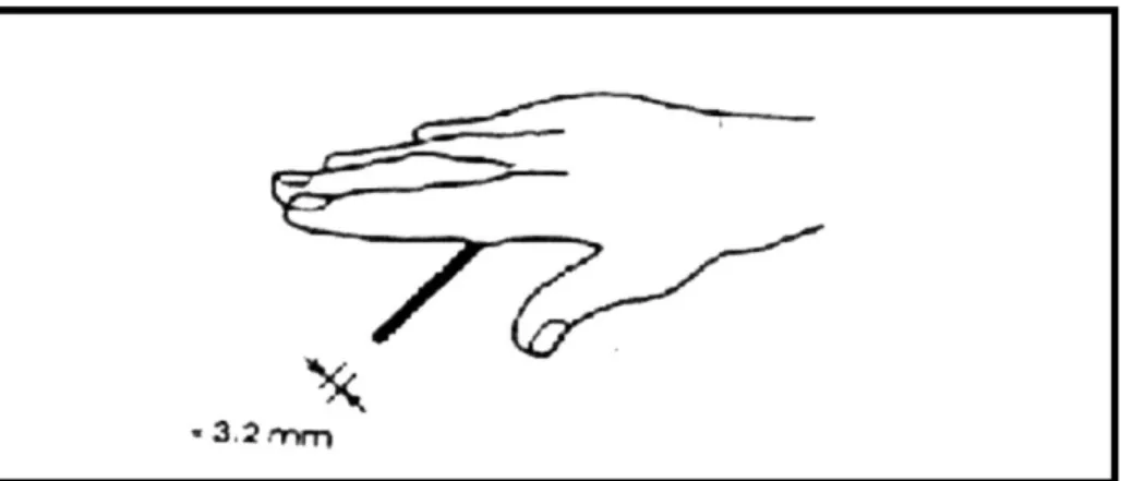 Figura  6. Determinación Del Limite Plástico 