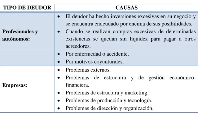 Tabla N°  6: Causas de impago según el tipo de deudor 