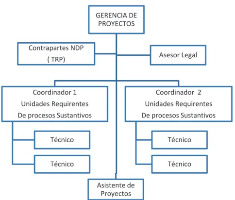 Figura 7 -  Estructura Organizacional de la Oficina de Gerencia de Proyectos del  Consejo de la Judicatura