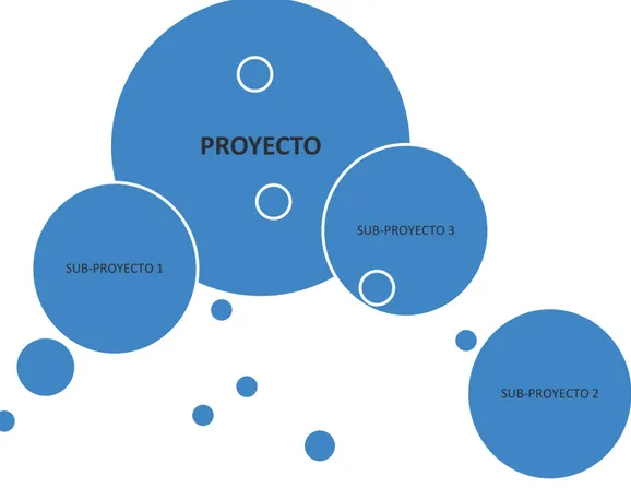 Figura 8 -  Articulación de Proyectos y Sub-proyectos de Inversión. 