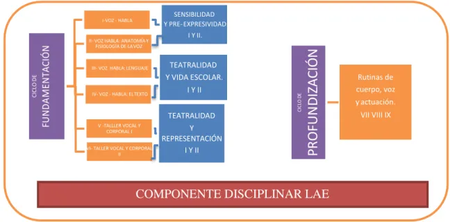 Gráfico C. Desarrollo de los ciclos de formación en el componente disciplinar. 