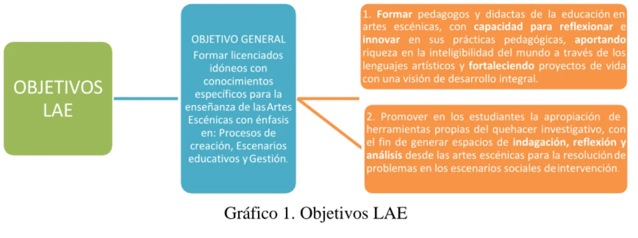 Gráfico 1. Objetivos LAE 