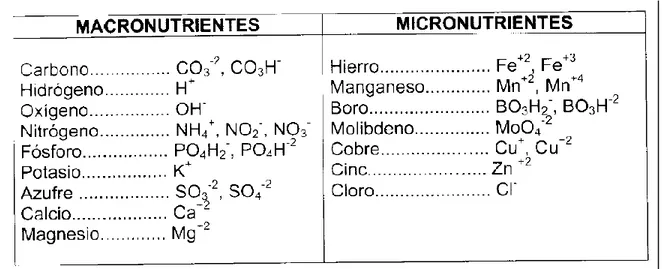 Figura 4: Formas iónicas de los elementos esenciales utilizados por las plantas. (Navarro y  Navarro, 2003)