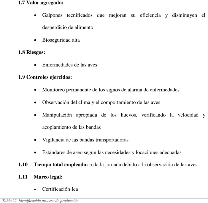 Tabla 22. Identificación proceso de producción 