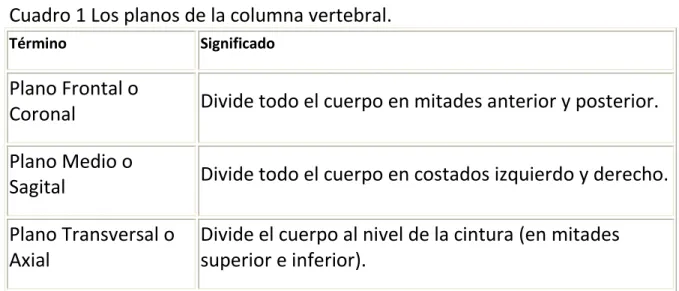 Cuadro 1 Los planos de la columna vertebral.             