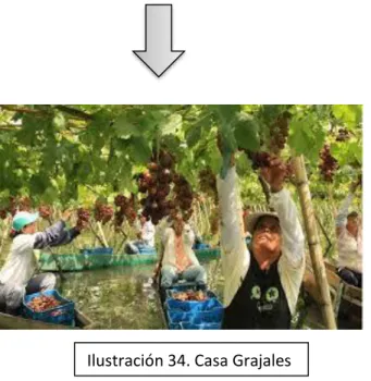 Ilustración 34. Casa Grajales  (Villedos) 