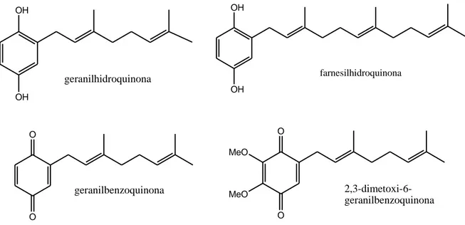 Figura 3. Metabolitos aislados de la familia Hydrophyllaceae 
