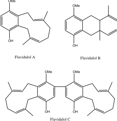 Figura 5. Estructuras del flavidulol A, flavidulol B y flavidulol C. 