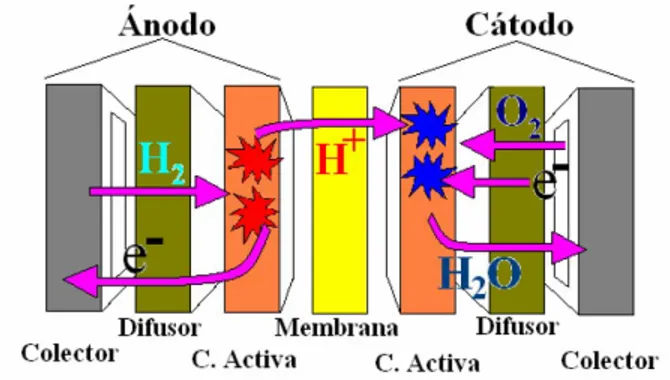Figura 2.3: Elementos que forman una celda de combustible [5]