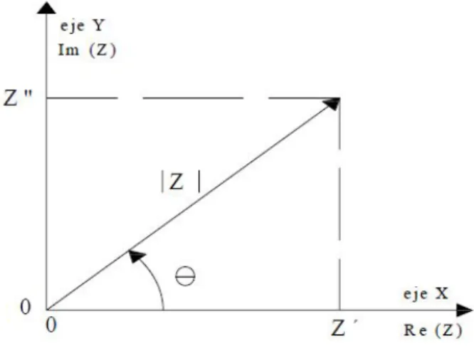 Figura 2.5: Representaci´ on de la impedancia Z en su representacion rectangular y polar