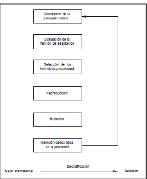 Figura 2.5. Esquema de un algoritmo genético básico  Fuente: “Genetic Algorithms – in Search,  Optimization and Machine Learning.” De  GOLDBERG, David E