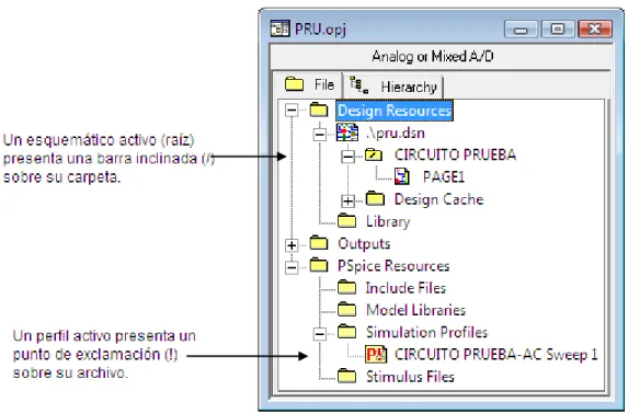 Figura 1.23. Carpetas de Project Manager. 