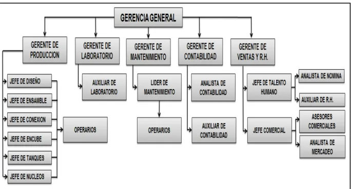 Figura 1: Estructura organizacional Entesco S.A.S. 