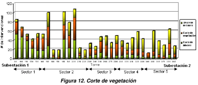 Figura 12. Corte de vegetación 