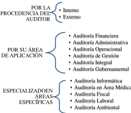 Gráfico N° 2 Clasificación de la Auditoría 