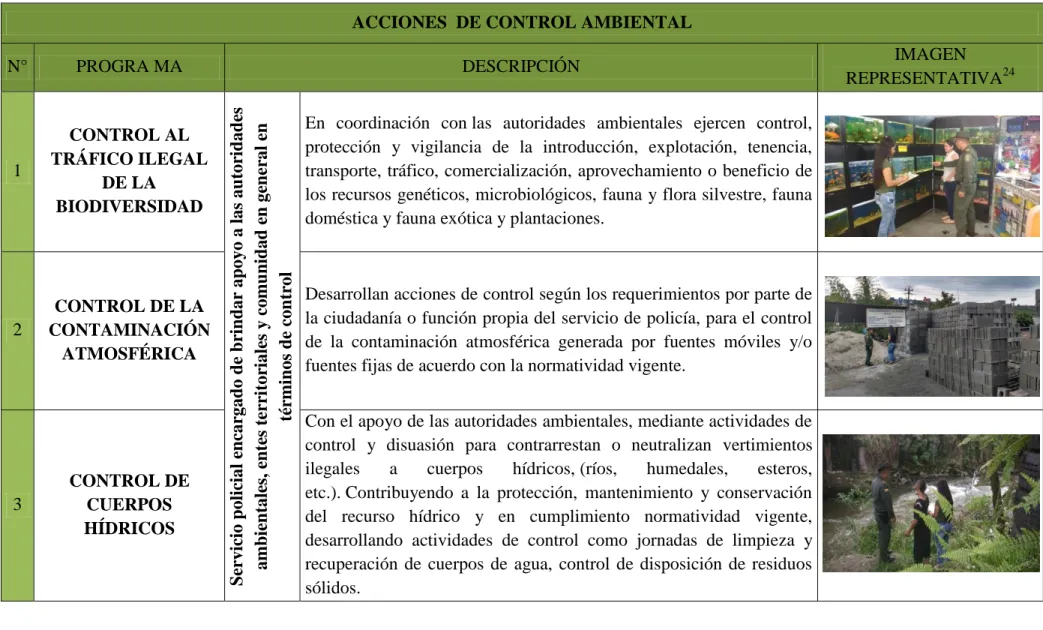 Tabla 5. Descripción de los programas del GUPAE en control ambiental. 