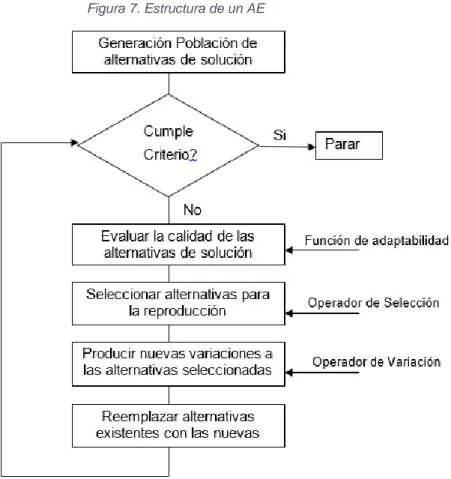 Figura 7. Estructura de un AE 