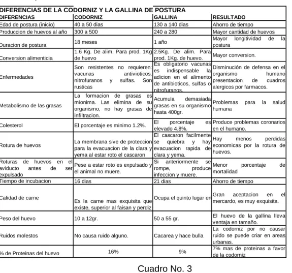 Cuadro No. 3 