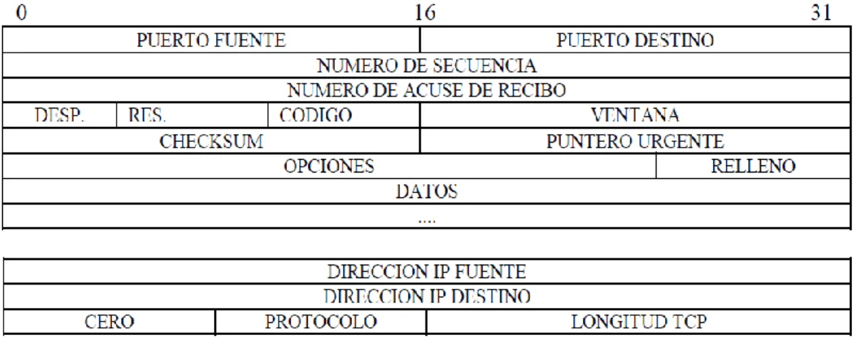 Figura 16: Formato del segmento entregado por el protocolo TCP al servicio IP. 