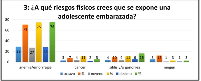 GRÁFICO Nº. 3.3 