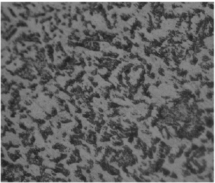 Figura 14. Microestructura del material a 500x  