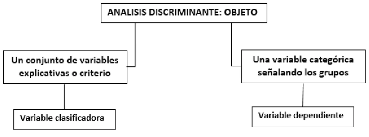 Figura 1: Objeto del análisis discriminante [5]. Editado por el autor. 