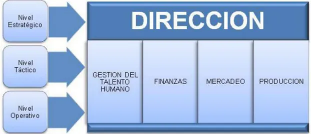 Figura 1.  Organización clásica de las organizaciones, por áreas funcionales. 