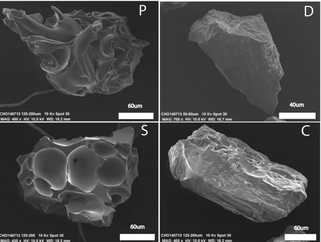 Figura  4-2  Ejemplo  de  4  clases  de  piroclastos  identificados:  material  juvenil  microvesiculado  (P),  líticos  negros  densos  (D),  escoria  (S),  cristales  libres  (C)