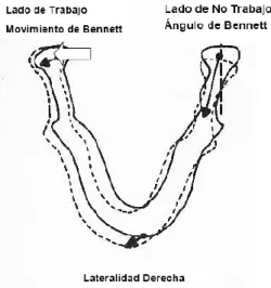 Fig. 6 Movimiento de Bennett  Fuente: http://dc497.4shared.com/doc/QTVivXlr/preview.html  Elaborado por: Flor Calderón
