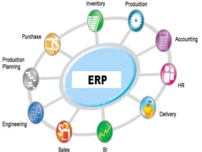 Figura 1.5. ERP (NAVARRO, 2009) 