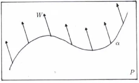 Figura 1.11: Campo vectorial paralelo