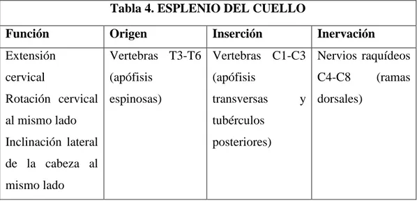 Tabla 5. ESCALENO ANTERIOR